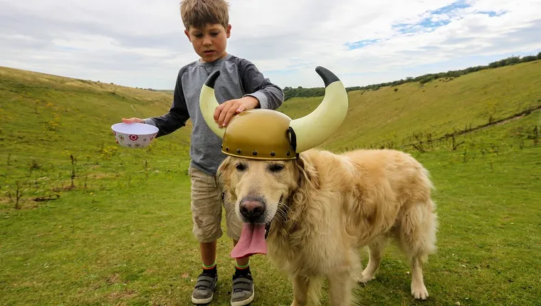 Dog wearing viking helmet with boy