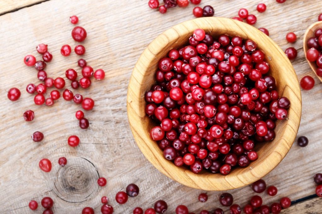 Cranberry in a wooden plate on a wooden background. Cranberries are safe for dogs.