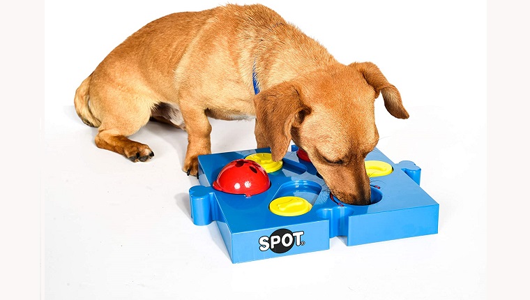 10 Best Dog Puzzle Toys