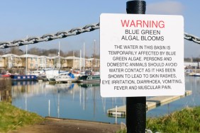 Sign at Preston Marina warning the public about the dangers of Blue-Green algae