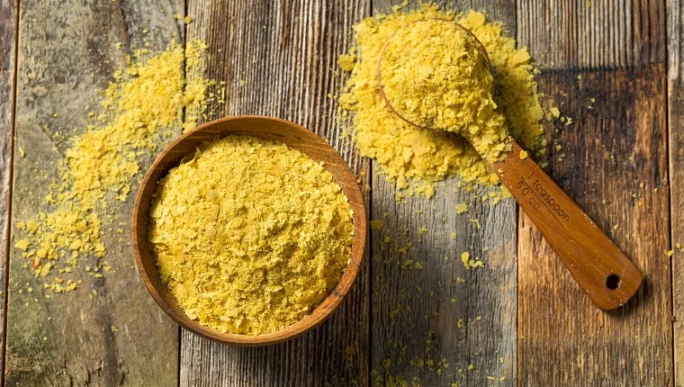 Nutritional yeast safe for sale dogs