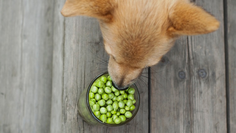 Can Dogs Eat Peas? Are Peas Safe For Dogs? - DogTime