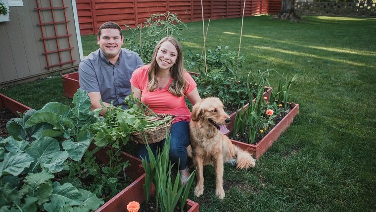 Man and woman crouch next to a raised garden bed next to their golden retriever and smile at the camera as they show off a basket of vegetables they harvested from the garden.
