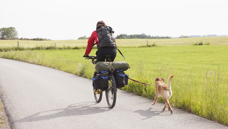 Man riding bicycle with dog