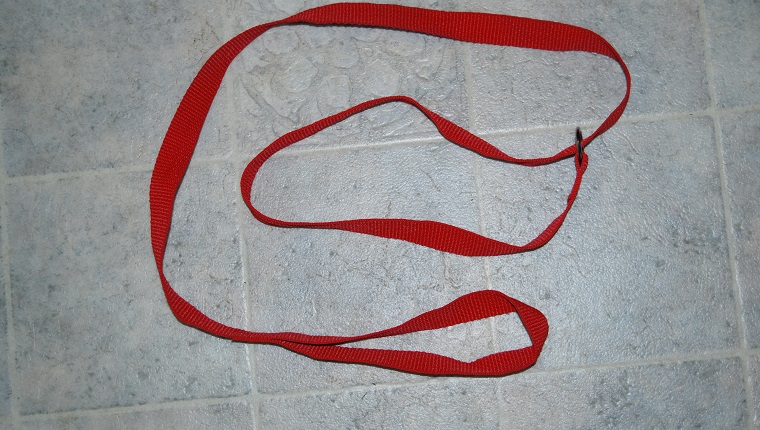 Red slip lead/leash for use on dogs and cats