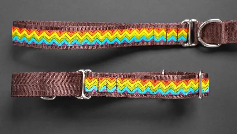 top view сolorful dog collar and leash from silky tape, one side is brown. Close up, black background, copy space.