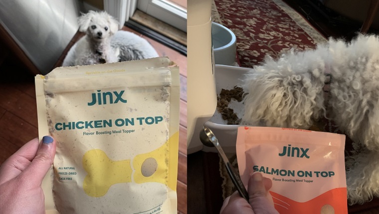 Jinx on Instagram: Choosing the right food for your dog isn't