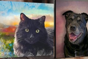 cat portrait and dog portrait