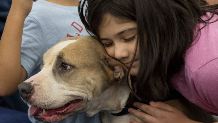 HOUSTON, Nov. 10, 2019 -- A girl hugs her new dog while her family is filing for adoption at the Mega Adoption event in Houston, Texas, the United States, on Nov. 10, 2019. The Mega Adoption event kicked off in Houston over the weekend. At least 10 shelters in the greater Houston area brought more than 1,000 dogs and cats to the event to find forever homes for them. 