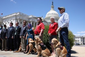 WASHINGTON, DC - MAY 13: Military service dogs and their handlers with K9s for Warriors pose for a photo after press conference for H.R. 1448, Puppies Assisting Wounded Service Members (PAWS) for Veterans Therapy Act outside the U.S. Capitol Building on May 13, 2021 in Washington, DC. The legislation was drafted to help start a program to promote the use of service dogs as a form of therapy for military veterans.