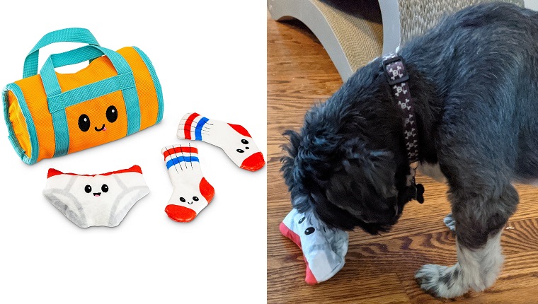 DogTime Review: Will A Senior Shih Tzu Play With Pet Craft's 'Hide
