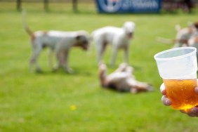 Cropped Image Of Hand Holding Beer Glass With Dogs On Field At Park
