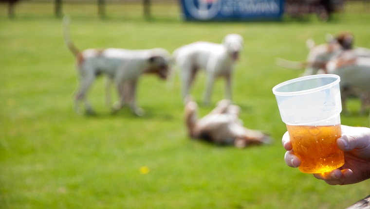 Cropped Image Of Hand Holding Beer Glass With Dogs On Field At Park