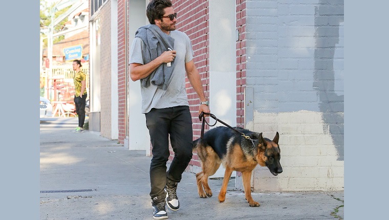 LOS ANGELES, CA - APRIL 20: Jake Gyllenhaal is seen in Los Angeles on April 20, 2015 in Los Angeles, California.