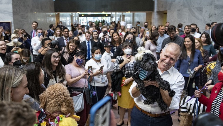 WASHINGTON, DC - OCTOBER 27: Sen. Thom Tillis (R-NC) holds up his dog Mitch, dressed as Mitch McConnell, during his annual Halloween dog parade in the Hart Senate Office Building on Capitol Hill October 27, 2021 in Washington, DC. Tillis organized the first Halloween dog party in 2017.
