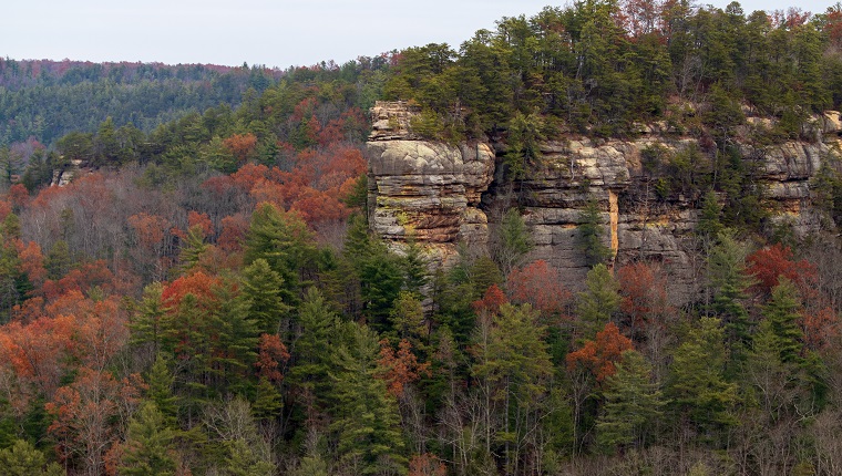 A rocky outcropping in the Daniel Boone National Forest under cloudy skies