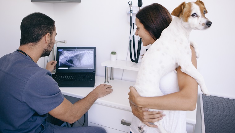 worried pet owner listening to the radiography results