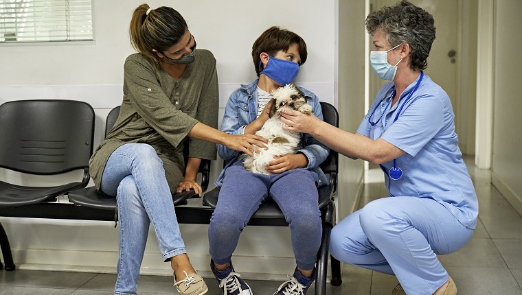 Front view of female doctor crouching next to young woman and boy holding Shih Tzu puppy in hospital waiting room, all wearing protective face masks.