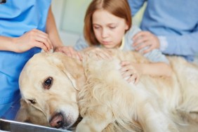 Sick mammal with veterinarian, young girl and man near by