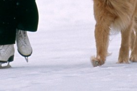 Woman ice-skates during a snowstorm with her golden retriever dog, winter