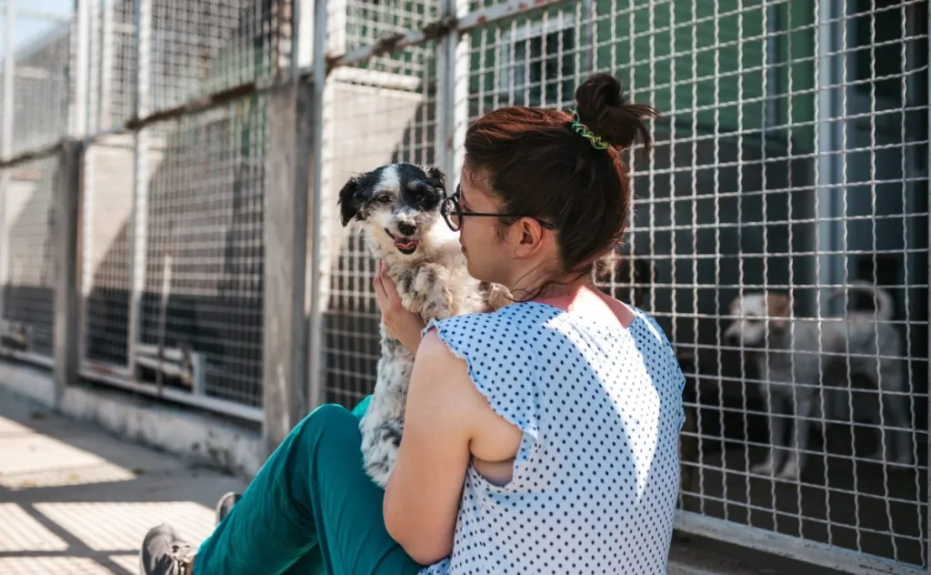 woman meeting a small shelter dog, both are sitting in front of kennels