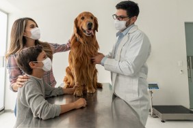 Happy Latin American family wearing facemasks while taking their dog to the vet during the COVID-19 pandemic