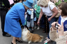 WELSHPOOL, WALES - APRIL 28: HM Queen Elizabeth II meets a corgi called Spencer as she arrives at Welshpool train station on April 28, 2010 in Welshpool, Wales. The Queen and Duke of Edinburgh are on a two day visit to North Wales.