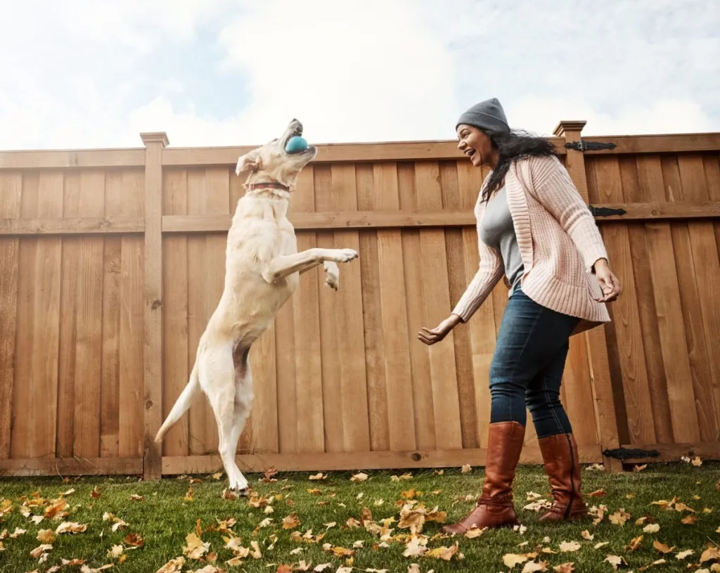 Woman playing fetch with dog