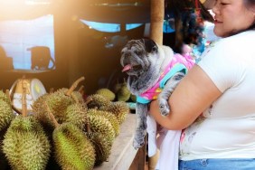 Midsection Of Woman With Dog Standing By Durians On Table