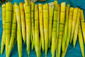 cleaned bamboo shoots for sale