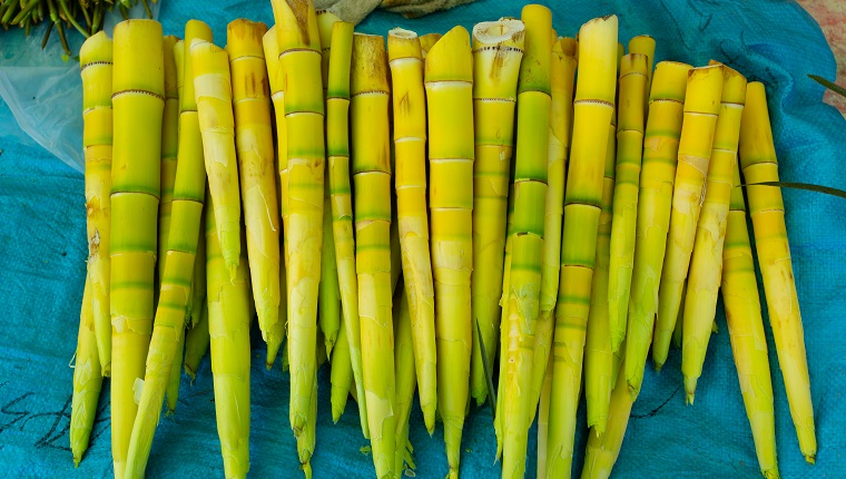cleaned bamboo shoots for sale