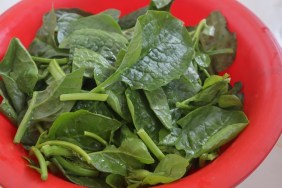 These spinach are bought from super market at city and preparing before cooking at home.