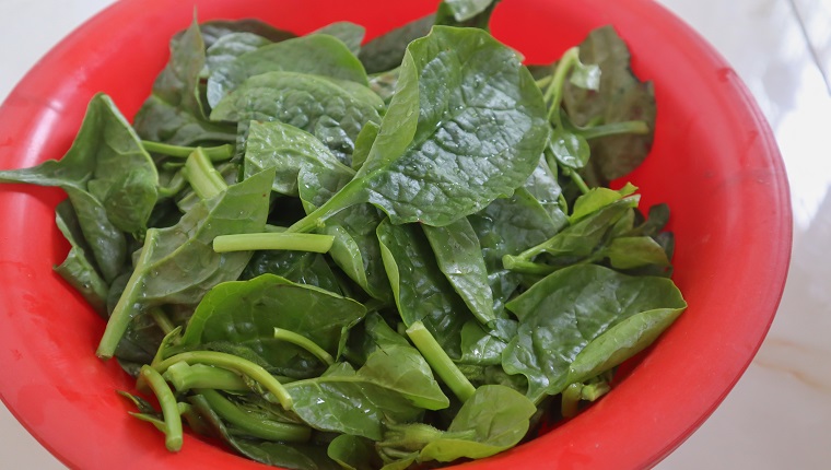 These spinach are bought from super market at city and preparing before cooking at home.