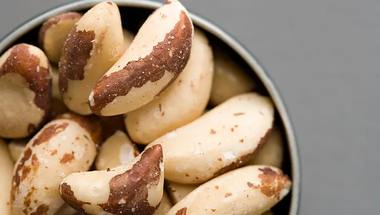 Bowl of brazil nuts