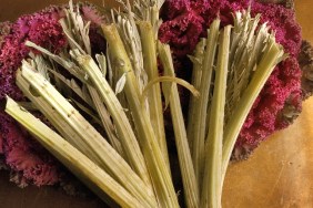 Staff Photo by John Ewing, Tuesday, December 14, 2004: Several stalks of cardoon, a vegetable similar to artichokes, lay atop heads of oriental flowering kale at the Fore Street Restaurant in Portland.