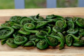 High Angle View Of Fiddleheads On Table At Home