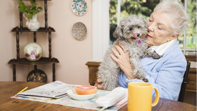 Senior woman holding dog at table