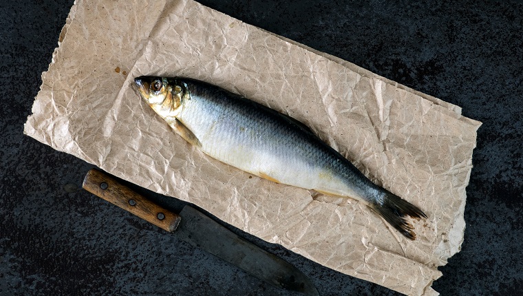 salted herring on a piece of crumpled wrapping paper
