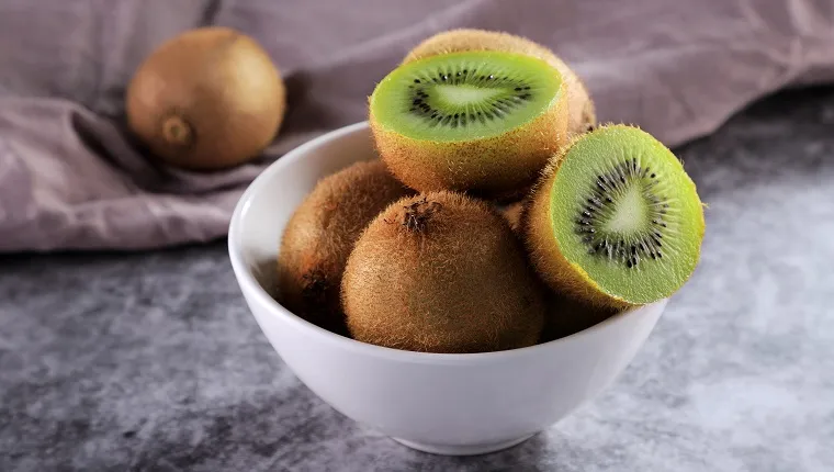 can dogs eat kiwi fruit