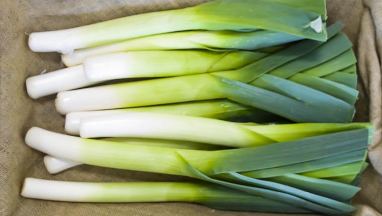 can-dogs-eat-leeks-are-leeks-safe-for-dogs-dogtime