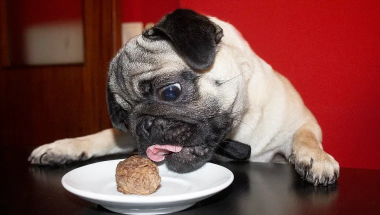 is a seasoned meatball is bad for a dog