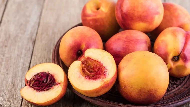 https://dogtime.com/wp-content/uploads/sites/12/2022/04/can-dogs-eat-nectarines-1.jpg