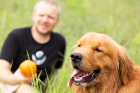 Gold retriever dog relaxing in front of caucasian hipster with papaya, dog, relaxing