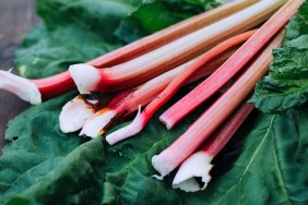 Freshly harvested rhubarb on a wooden table