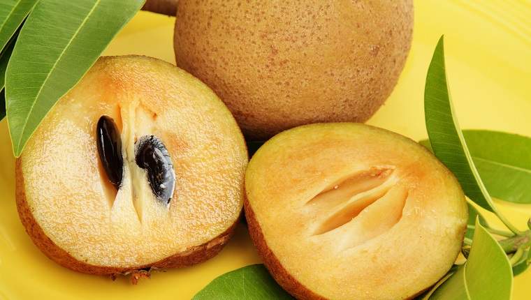 Sapodilla, Manikara Zapota, is a popular fruit in Mexico, South America, the Caribbean, and Middle Eastern countries like India and Pakistan. Also known as sapota, zapota, and chikoo. This image shows a sliced fuit in foreground with seeds in one side. A whole, uncut fruit is in the background, The fruit is on a yellow platter and surrounded by several sapodilla tree leaves. Fruit is very sweet when ripe and has a malty, caramel flavor.