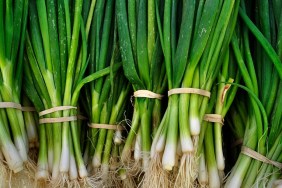 Close-Up Of Green Onions