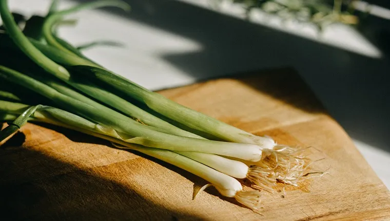 Bunch of green onions on a wood cutting board