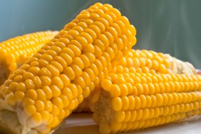 close up of sweet corn boiled with steam