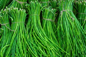 A group of Asparagus Bean or Long yard bean fresh green vegetable bundles ready for sale to market.