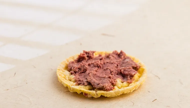 Corn waffle with pâté spread. Ivory color surface. Shallow depth of field. Light effect.
